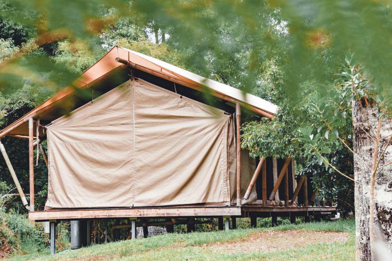 Silk Pavilions Glamping Mount Burrell Dış mekan fotoğraf