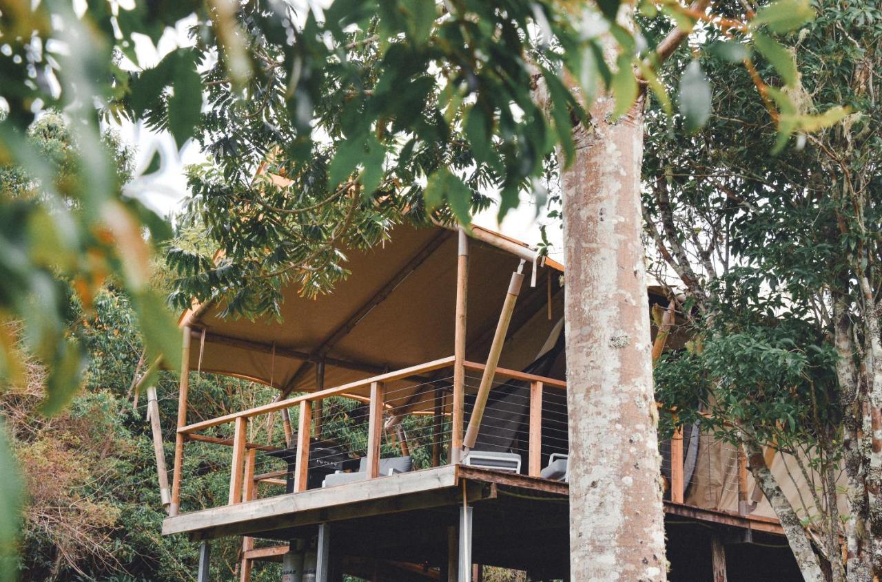Silk Pavilions Glamping Mount Burrell Dış mekan fotoğraf